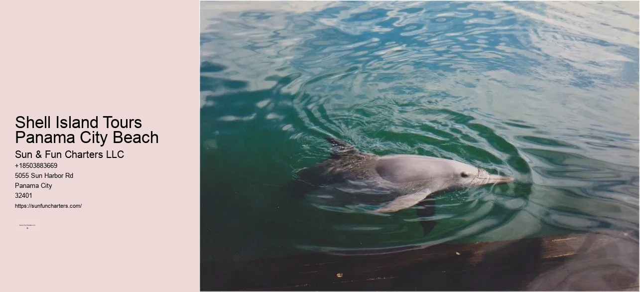 Shell Island Dolphin Tours Panama City Beach