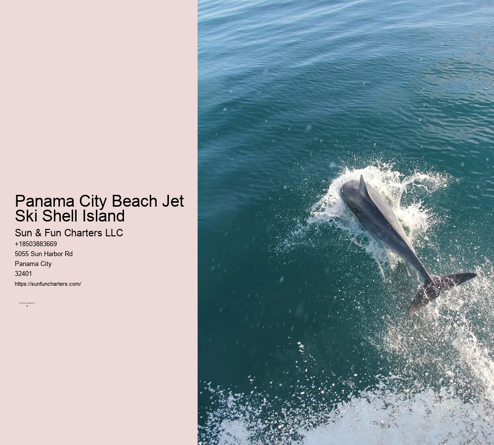Shell Island Boat Tours Panama City Beach Fl