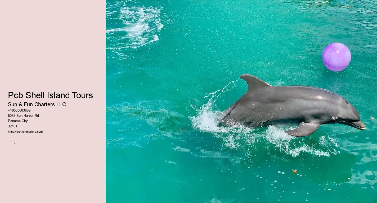 Shell Island Dolphin Cruise Panama City Beach