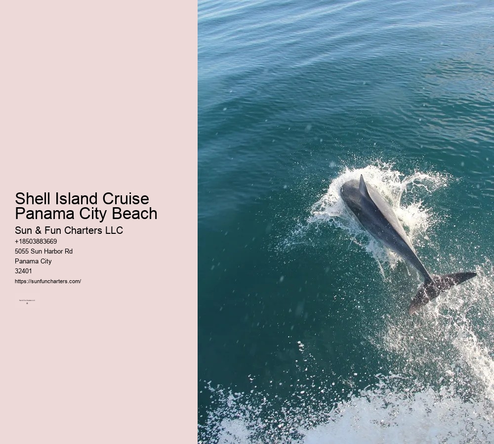 Shell Island Tours Panama City Beach Florida