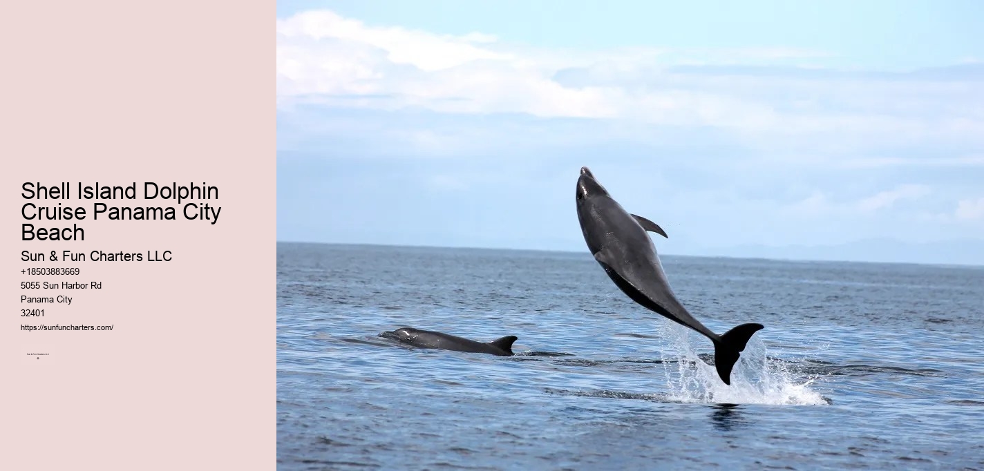 Shell Island Dolphin Cruise Panama City Beach