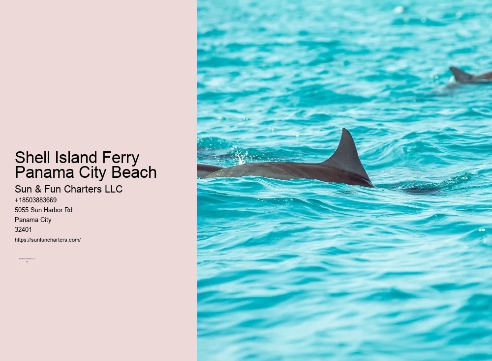Shell Island Dolphin Tours Panama City Beach