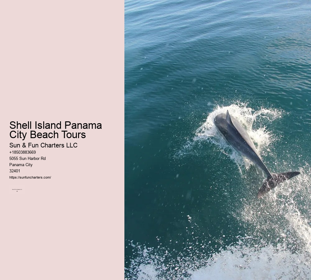 Shell Island Boat Tours Panama City Beach Fl