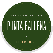 Punta Ballena location hover button