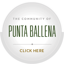 Punta Ballena location button