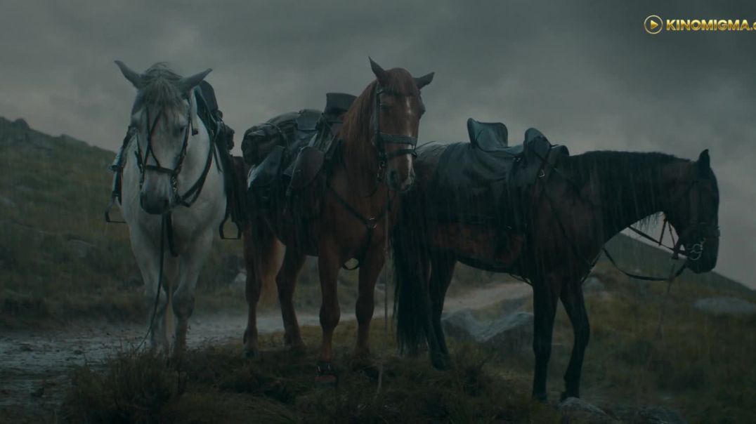 shvidi samefos raindi