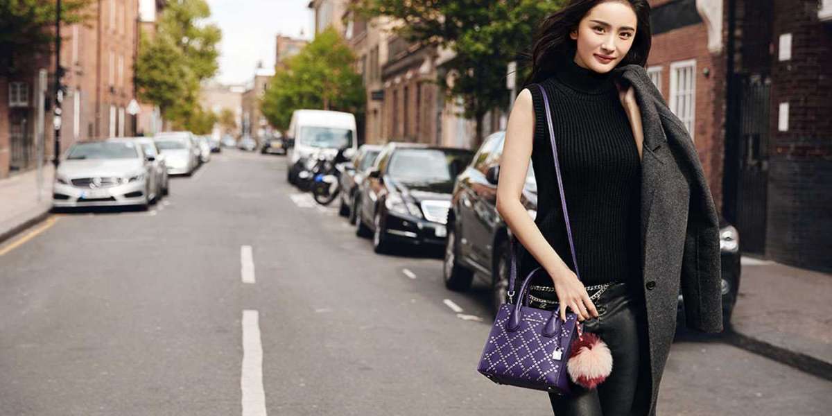 Which kind of Handbag Or Shoulder Bag Is right To suit your needs