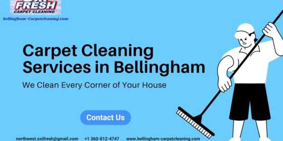 Professional Carpet Cleaning Services in Bellingham