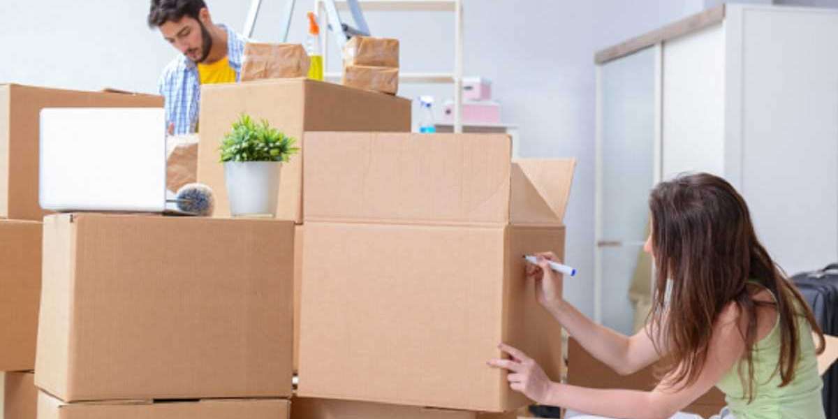 best packers and movers in jaipur