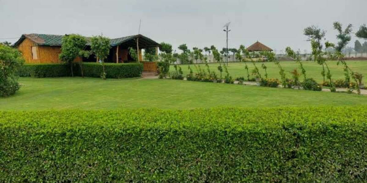 Farm House Farm Land in Delhi and Gurgaon