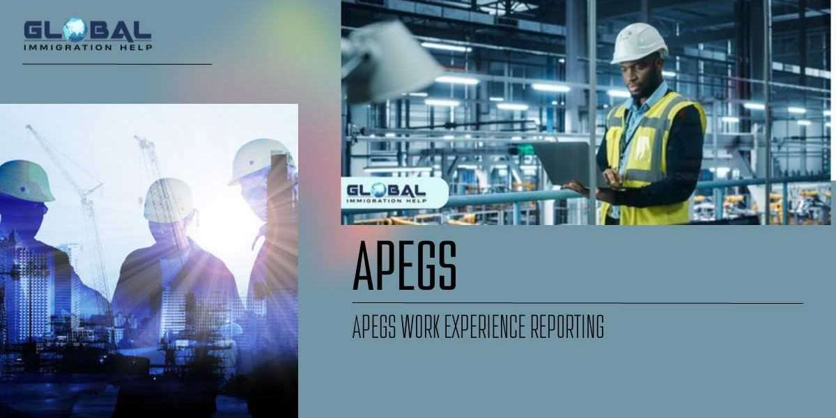 Responsibilities When Using APEGS Competency Assessment System