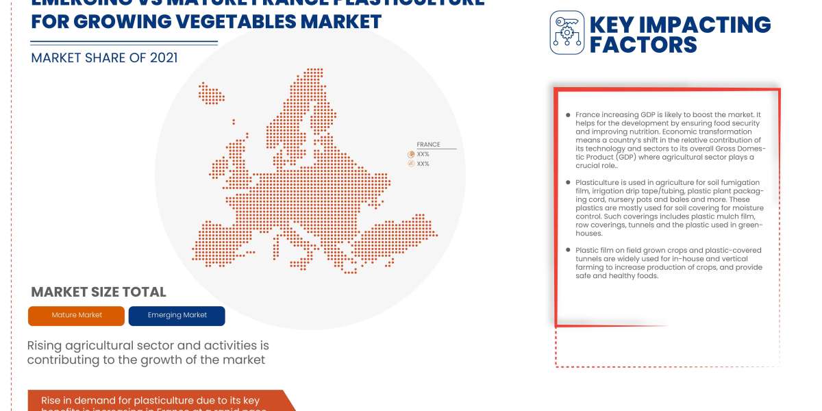 France Plasticulture for Growing Vegetables Market business opportunities including key players forecast till 2028