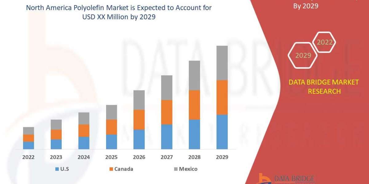 North America Polyolefin Market Future Scope and Growth Factors