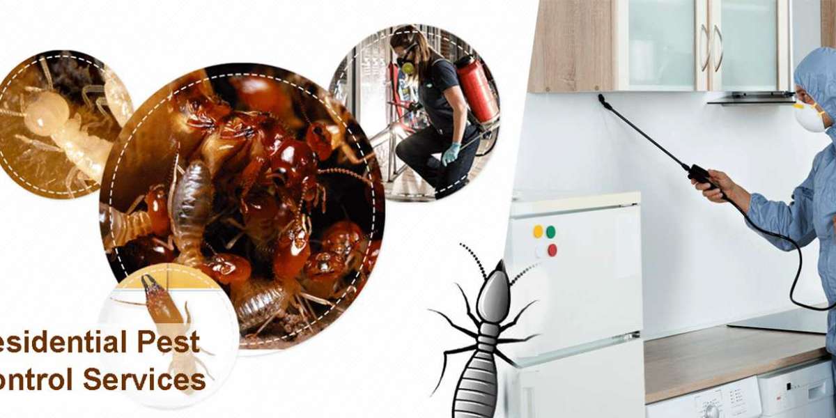 Do Termites Eat Vinyl Flooring?