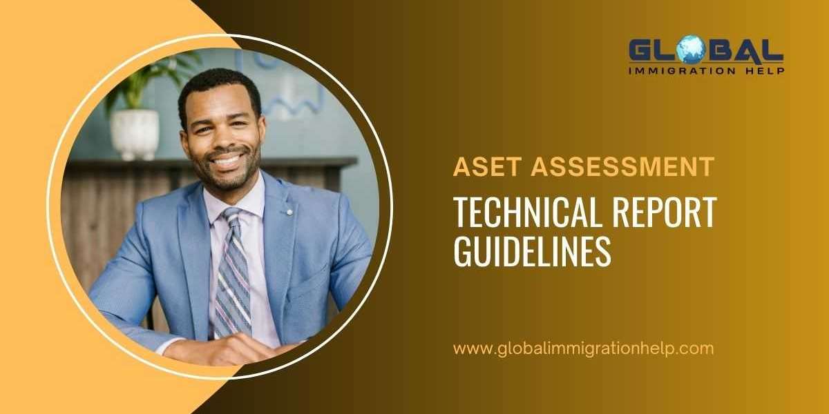 ASET Assessment Process For A Professional Technologist