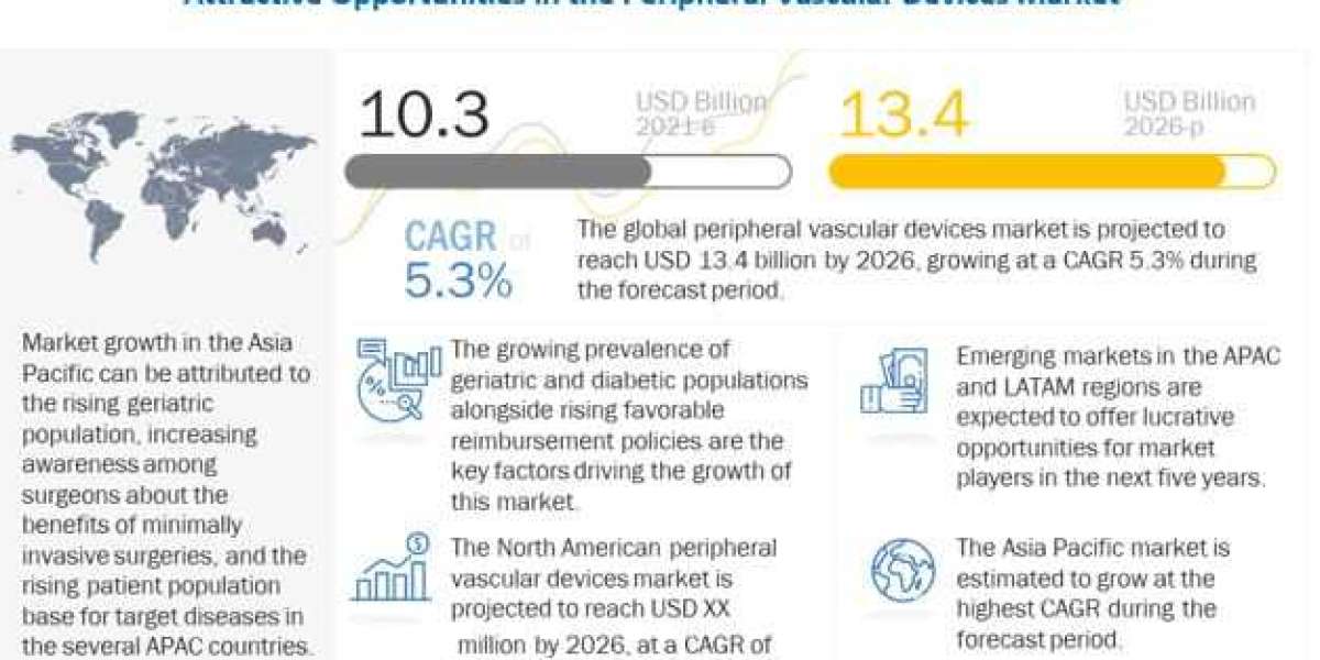 Peripheral Vascular Devices Market Size, Share, Outlook, Revenue Estimates, Growth, Analysis, Key Players, Report, Forec