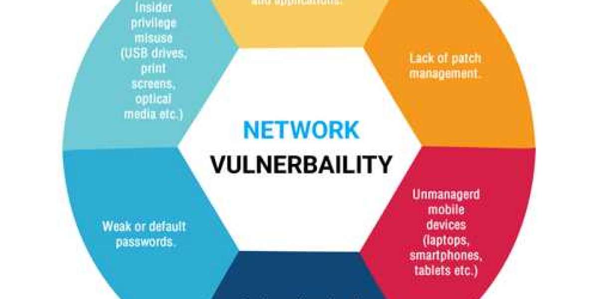 How to conduct a Network Vulnerability Assessment In 8 Steps?