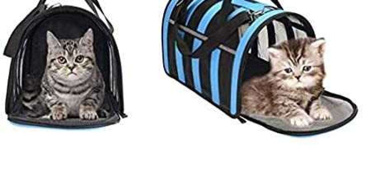 Pet Travel Bags Market- Size, Share, Drivers, Trends, And Competitors