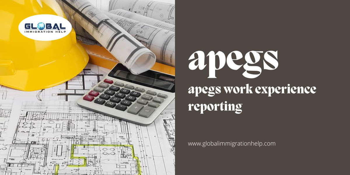 What is APEGS  and its role?