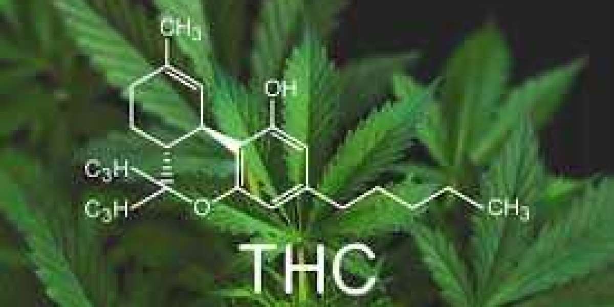 Instant Solutions To THC Detox Method In Step by Step Detail