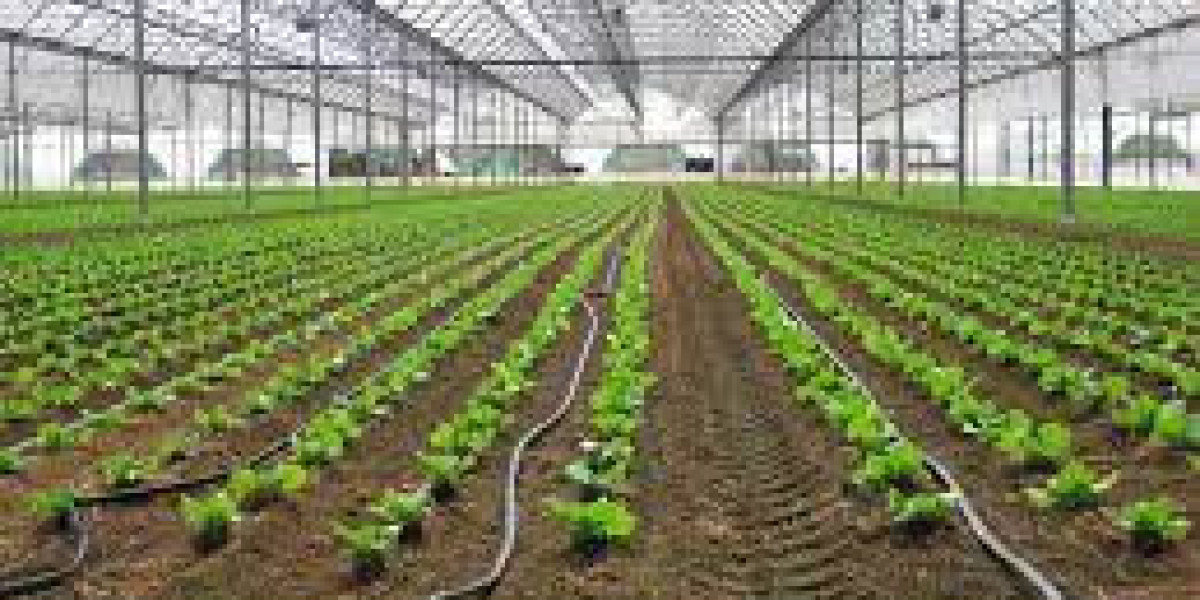 Greenhouse Drip Irrigation System Market : Facts, Figures and Analytical Insights 2023-2029