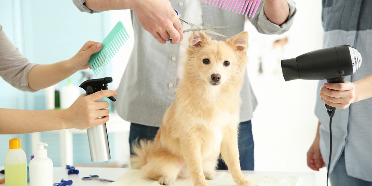 Pet Grooming and Accessories Market by 2030: Future Scope and Predictions