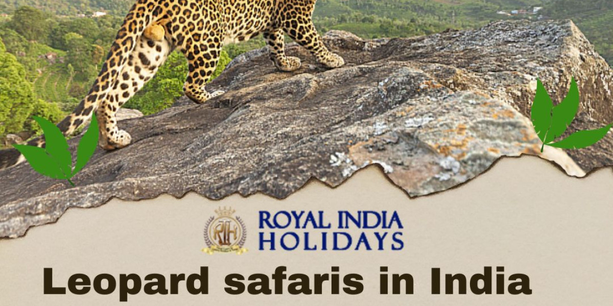 +91-9810068824 India s Best Travel Companies Agencies, Royal India Holidays Pvt Ltd Luxury tailor made tour packages