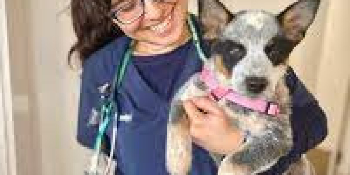 La Jolla Vet Clinic: The Best Place to Care for Your Furry Friends