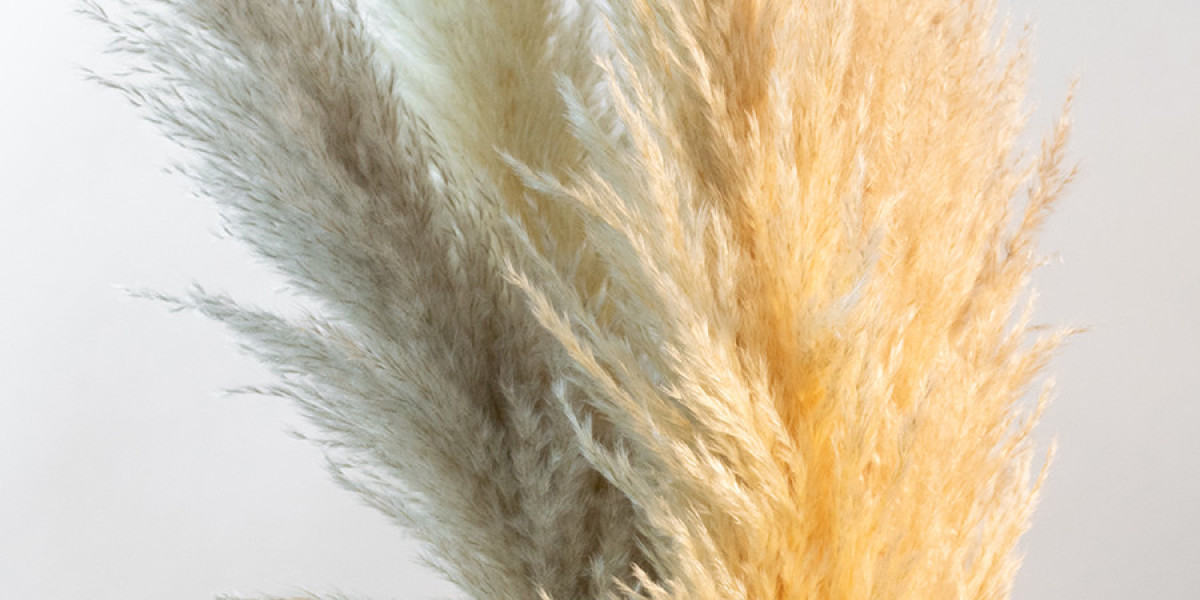 Transform Your Home Decor with the Mesmerizing Beauty of Pampas Grass