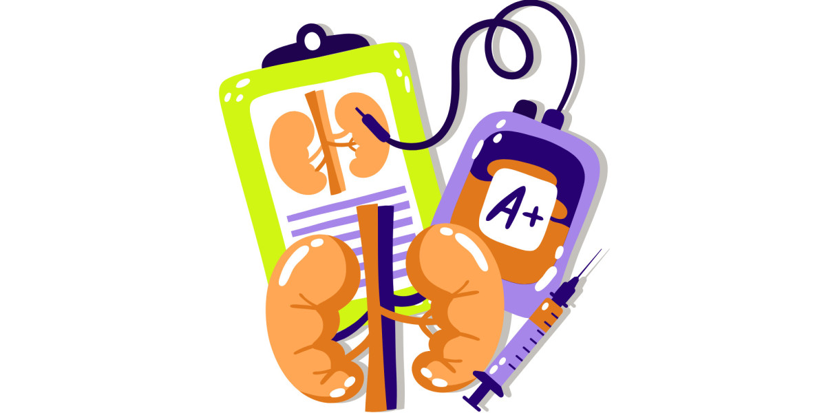 Signs and Symptoms of Kidney Dysfunction: When to Consider a Kidney Function Test