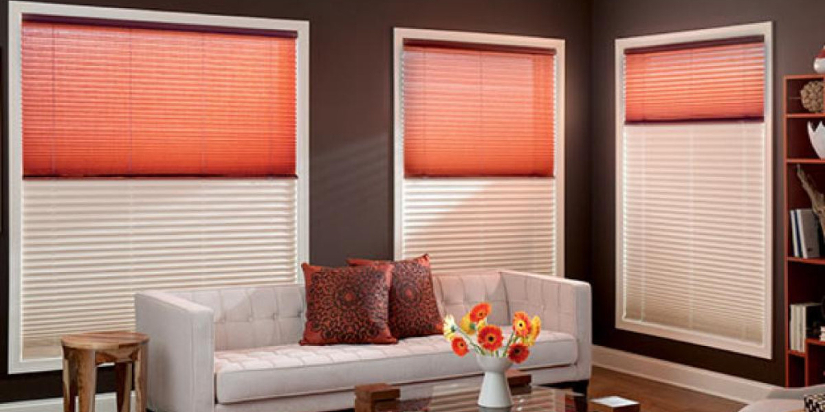 The Secret to Transforming Your Space: Roller Blinds Mini Edition