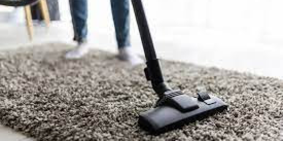 The Power of Professional Carpet Cleaning Services Revealed