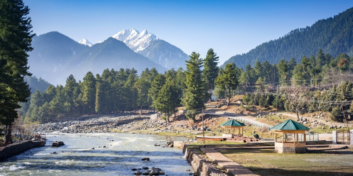 Best Himachal Tour Packages from Delhi