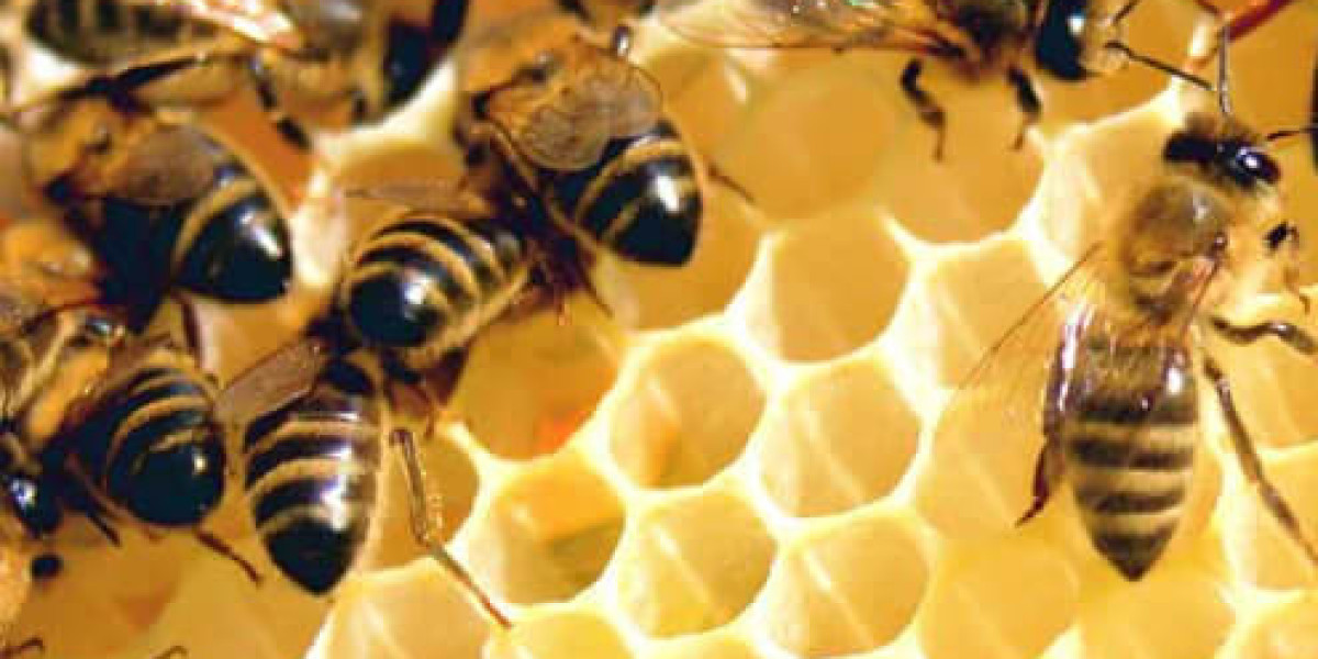 What are the Health Benefits of Hawaiian Honey?