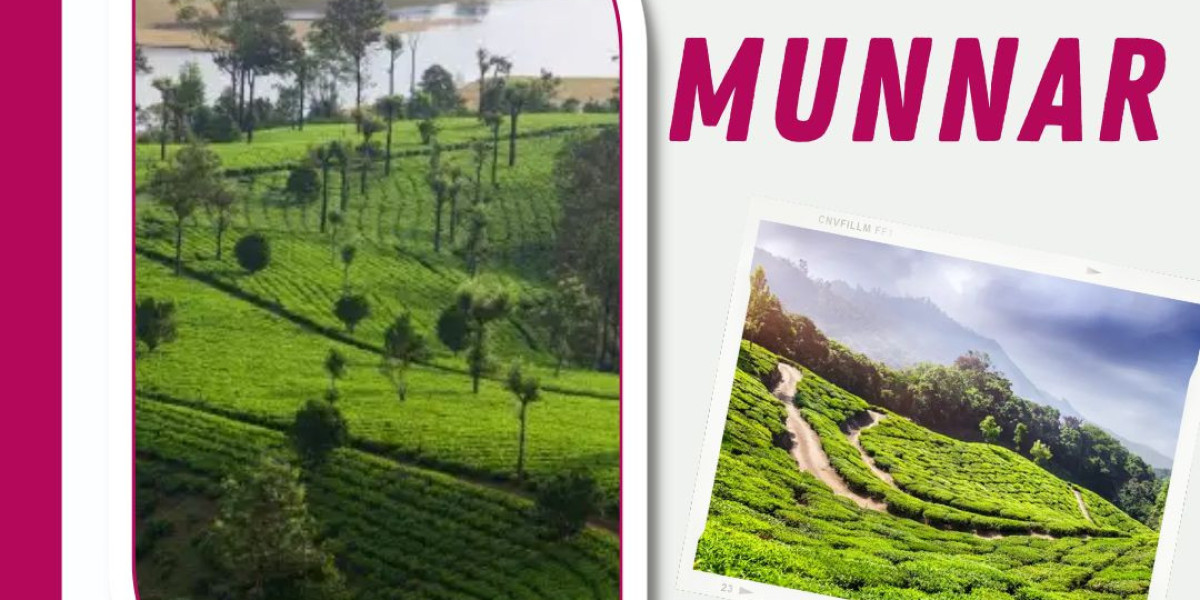 Raise Your Faculties: Munnar tour packages from Mumbai by Lock Your Trip