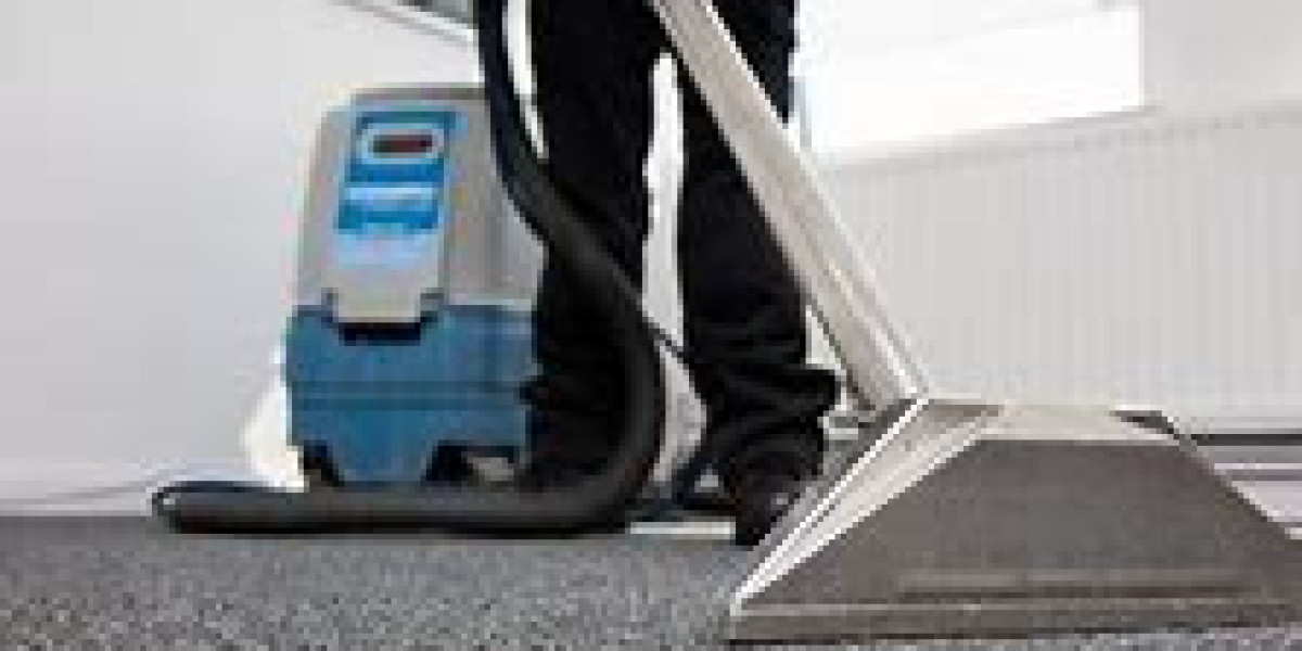5 Reasons Why Professional Carpet Cleaning Services Win Every Time