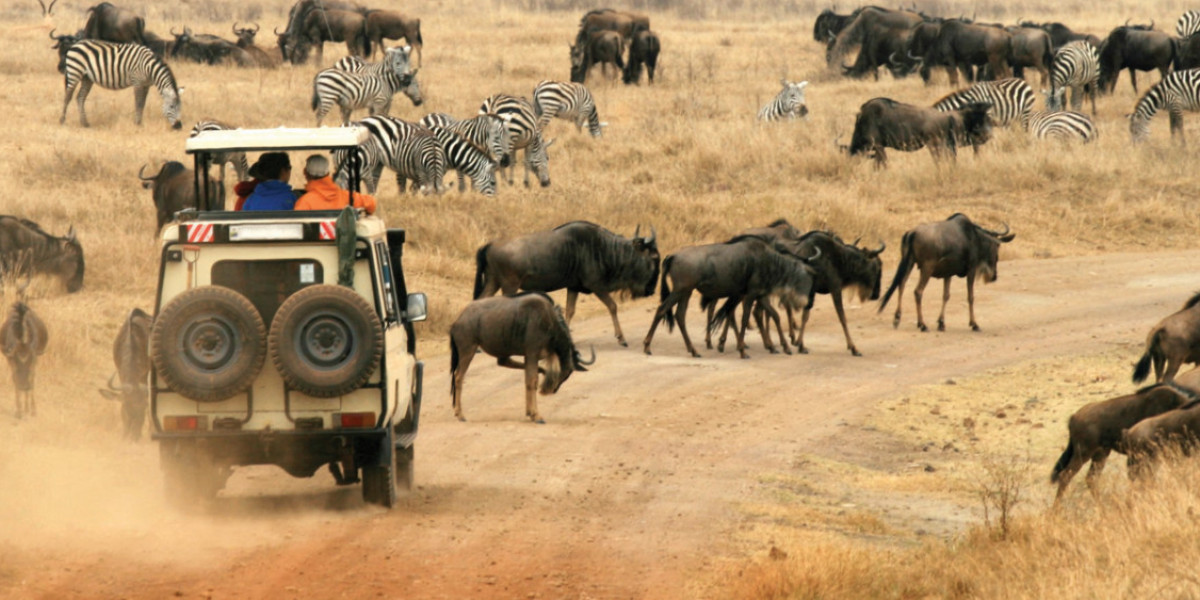 Tailor-Made Kenya Safaris: Customized Itineraries for a Personalized Adventure
