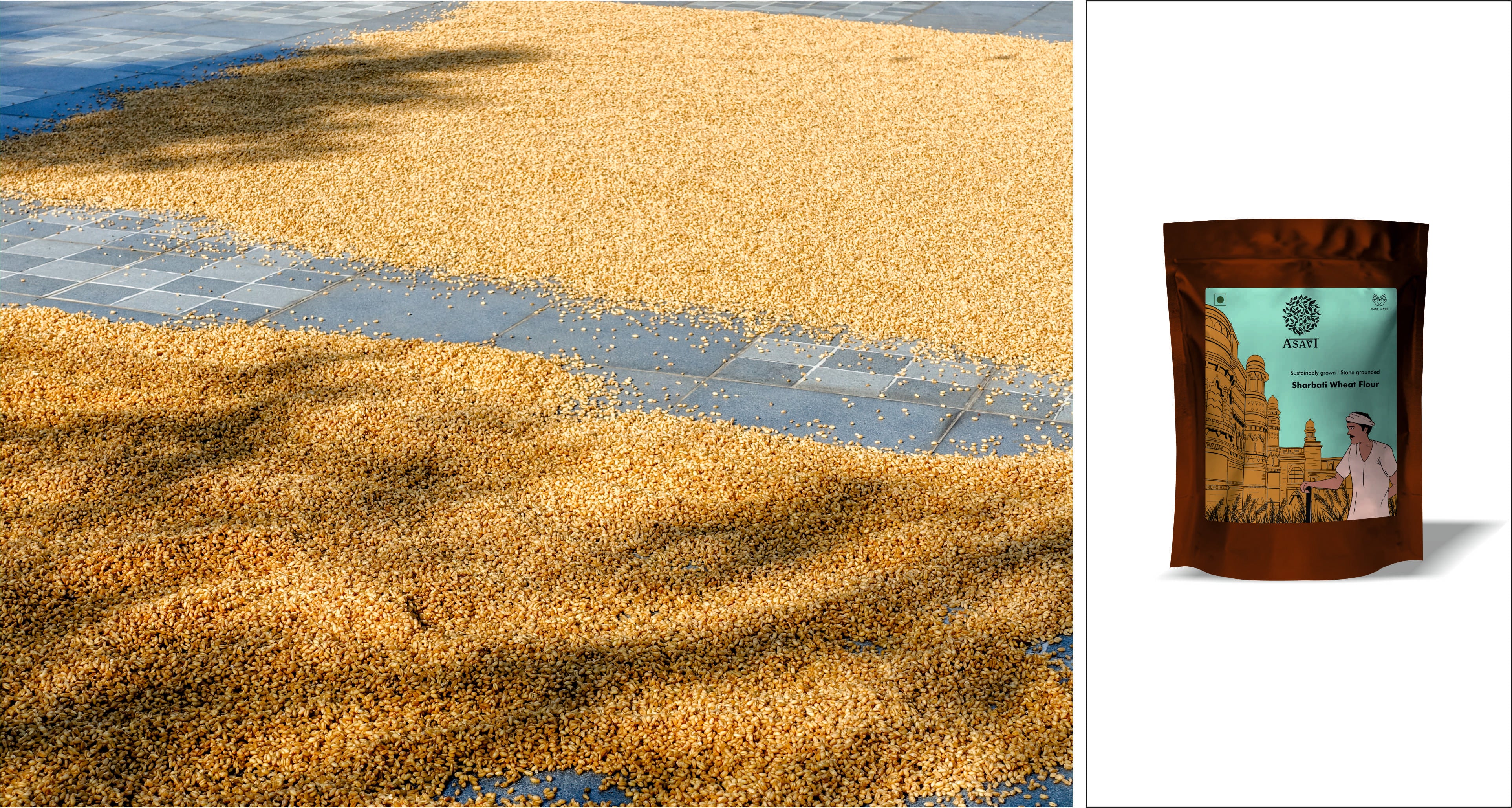 Higher Protein and Taste of Sharbati Wheat in India at Asavi.in