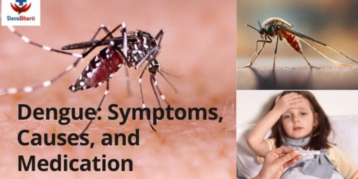 Dengue: Symptoms, Causes, and Medication