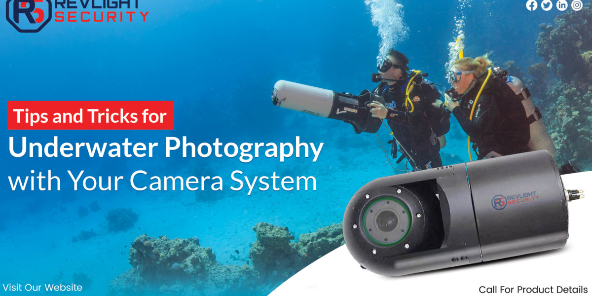 Tips and Tricks for Underwater Photography with Your Camera System