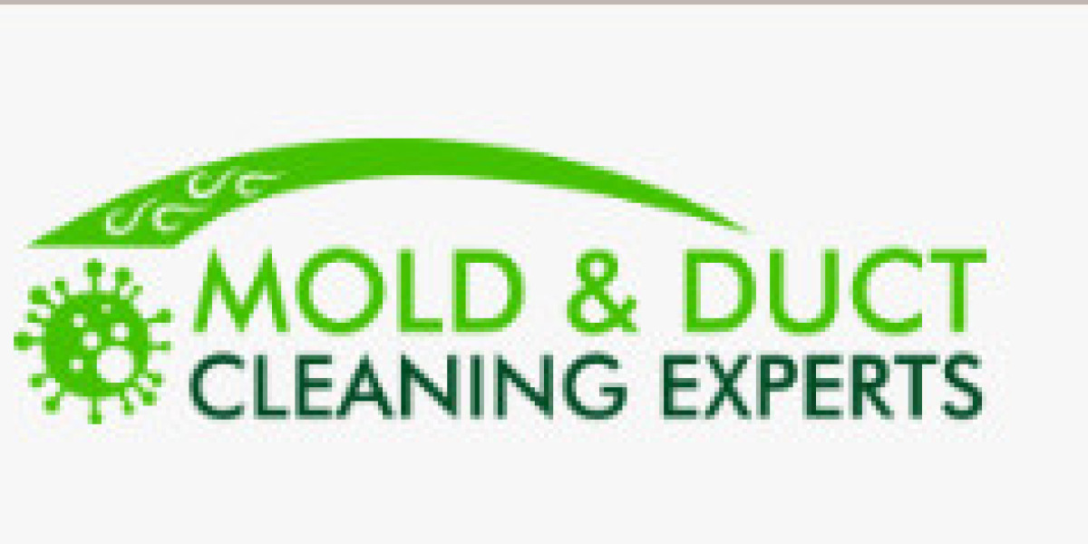Navigating the Importance of Mold Testing in FL