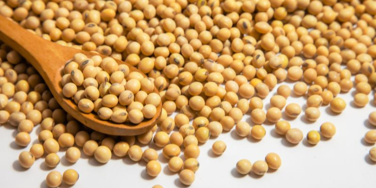 Soybean Dietary Data And Well being Results