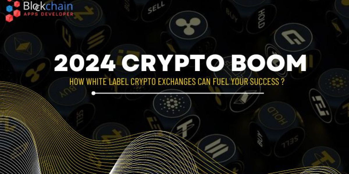 Why 2024 Is The Prime Time for Launching Your Crypto Exchange?