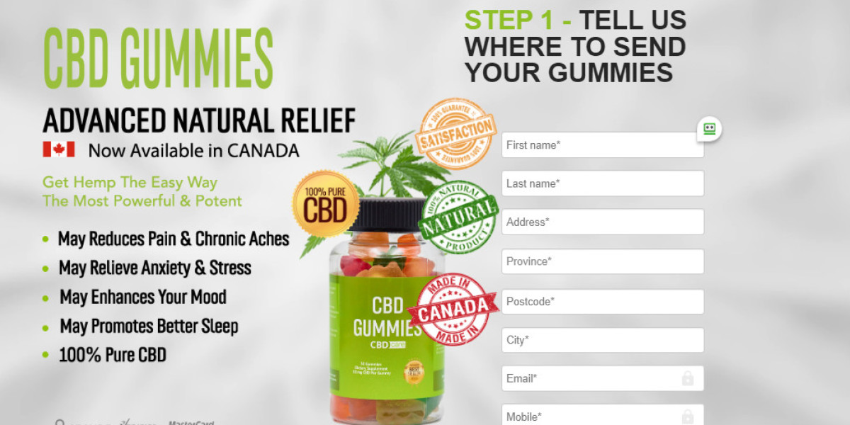 True North Relief: Top-tier CBD Gummies in Canada