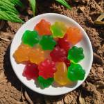 Lemme Sleep CBD Gummies Reviews