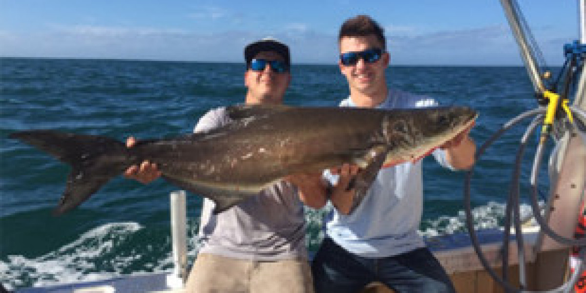 Catch Trophy Fish on St. Petersburg Fishing Charters