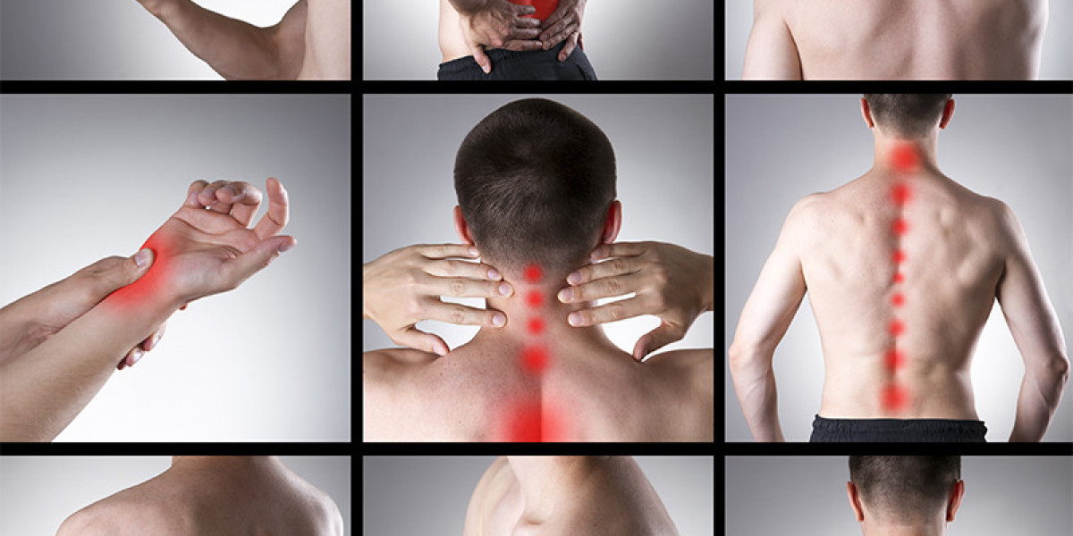 Acquiring Understanding of the Science of Pain: Exploring the Human Alarm System