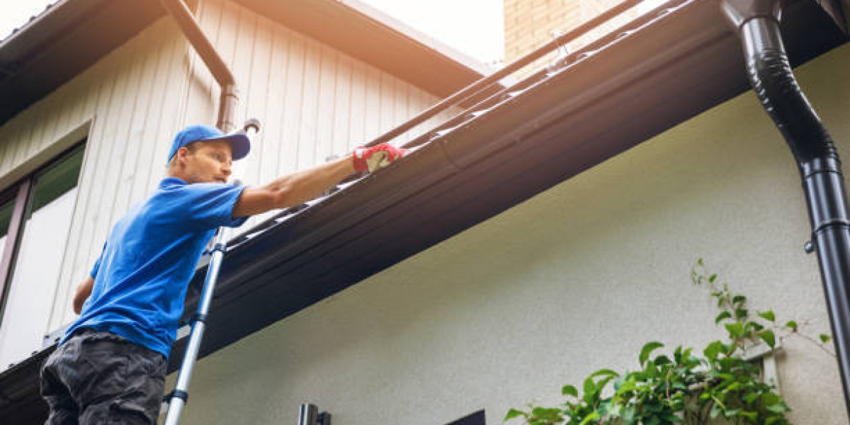 Invest in Your Home's Health: Choose Our Professional Gutter Cleaning Service