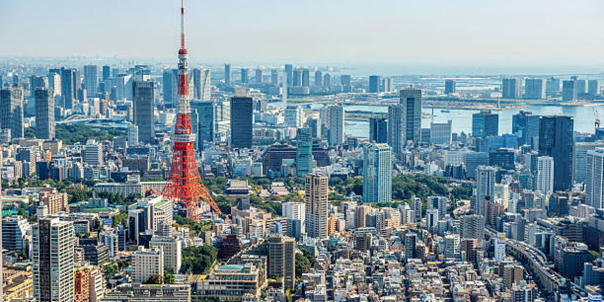Unveiling Tokyo's Charms: A Personalized Private Tour Experience