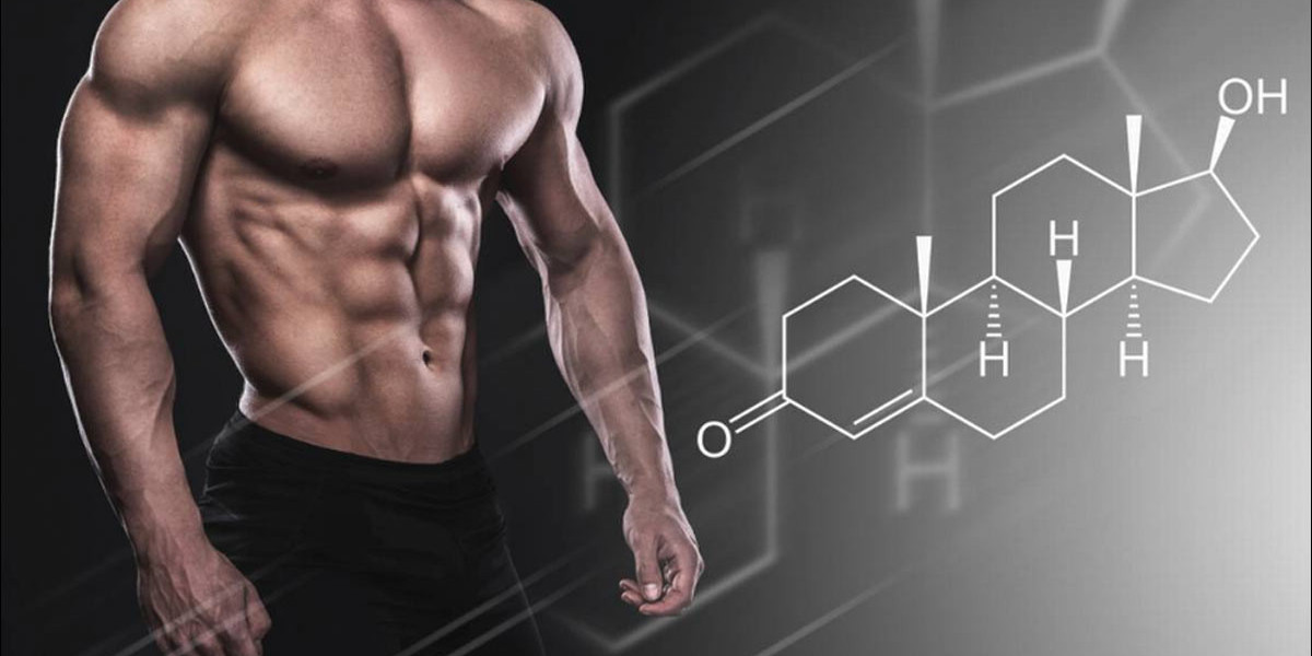 A Comprehensive Guide to Sustanon 250 Cycle Dosage